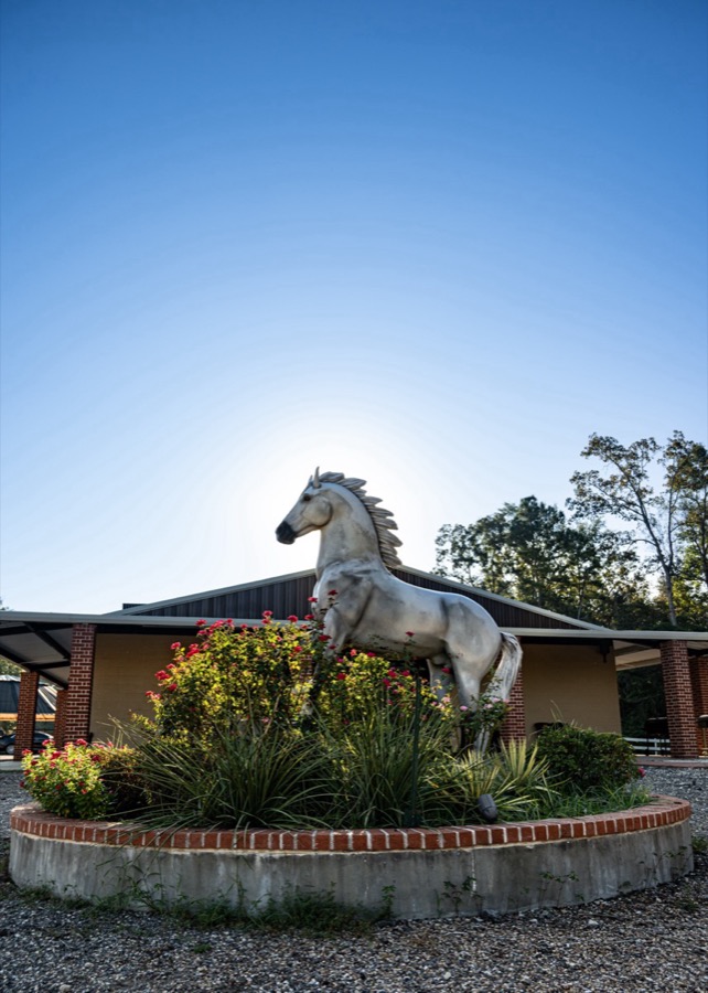 White rearing horse sculpture at Inspira Ranch entrance under blue Texas sky
